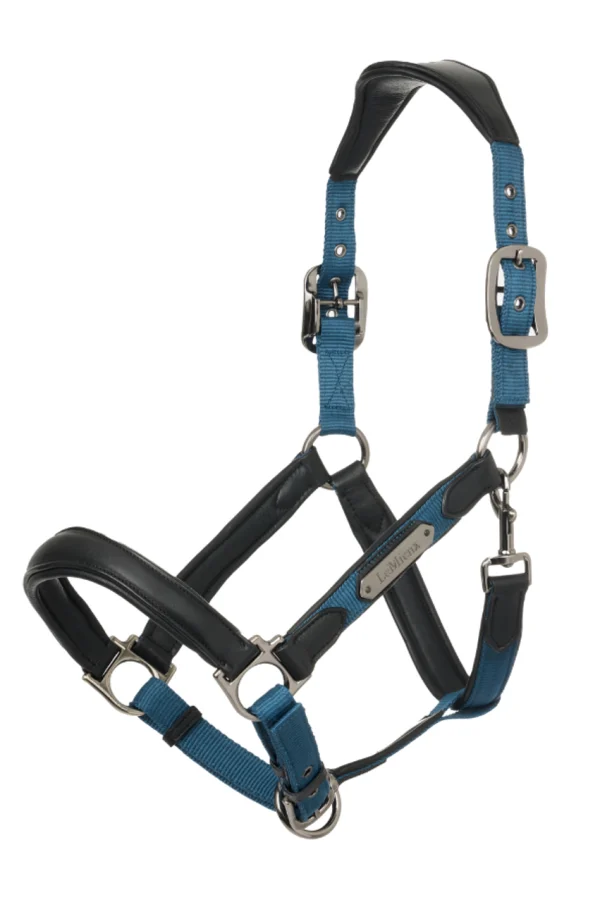 LeMieux Capella Headcollar Atlantic Cob